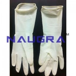 Latex Surgical Gloves