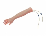 Advanced arm model for venipuncture
