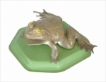 Model of toad