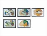 Relief model of human brain(5pcs)